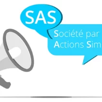 sas forme societe ideale